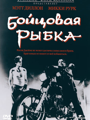 Бойцовая рыбка 